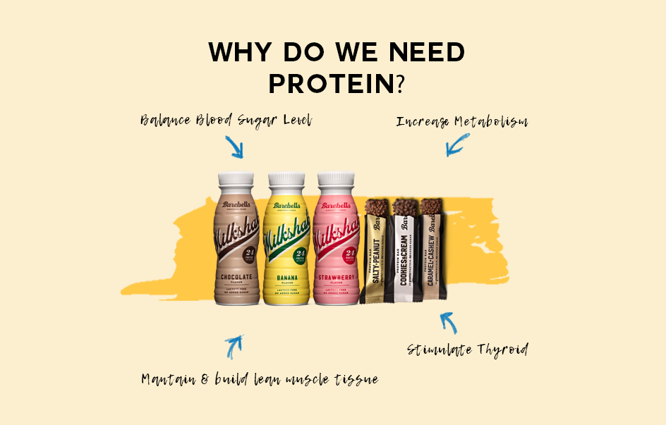 Why do we need protein daily & how much do you need❓